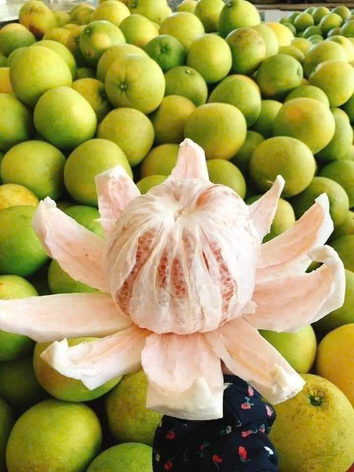 Chứng chỉ