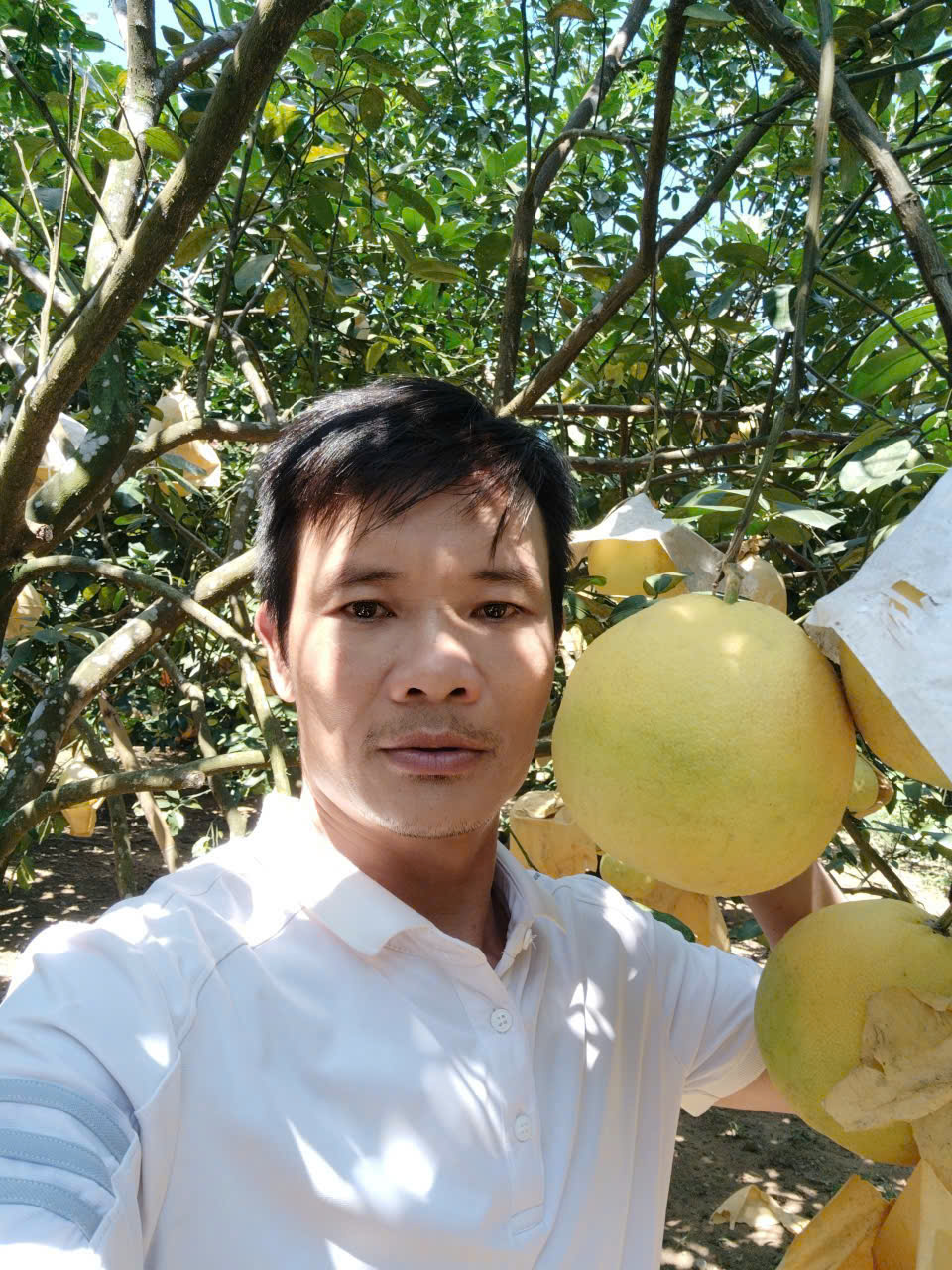 Chứng chỉ