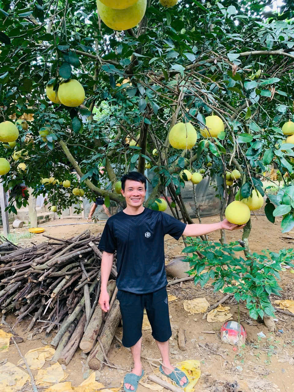 Chứng chỉ