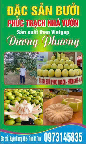 Chứng chỉ